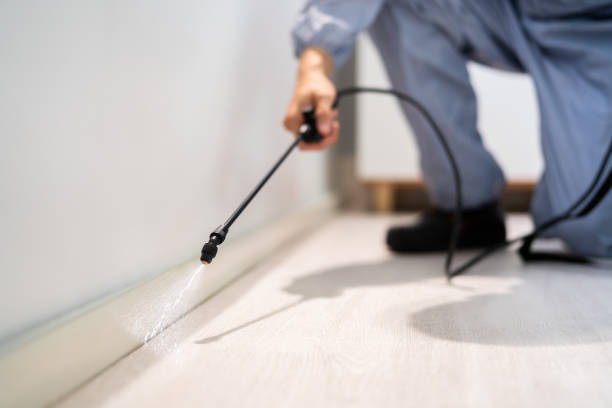 Certified termite inspector examining foundation in Ledbetter