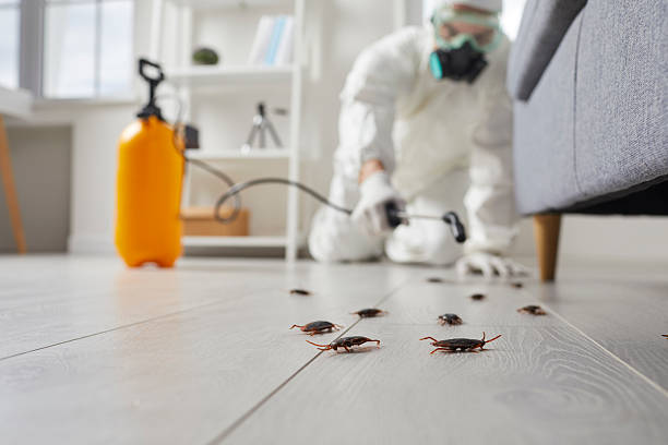 Commercial Rodent Management in Ledbetter